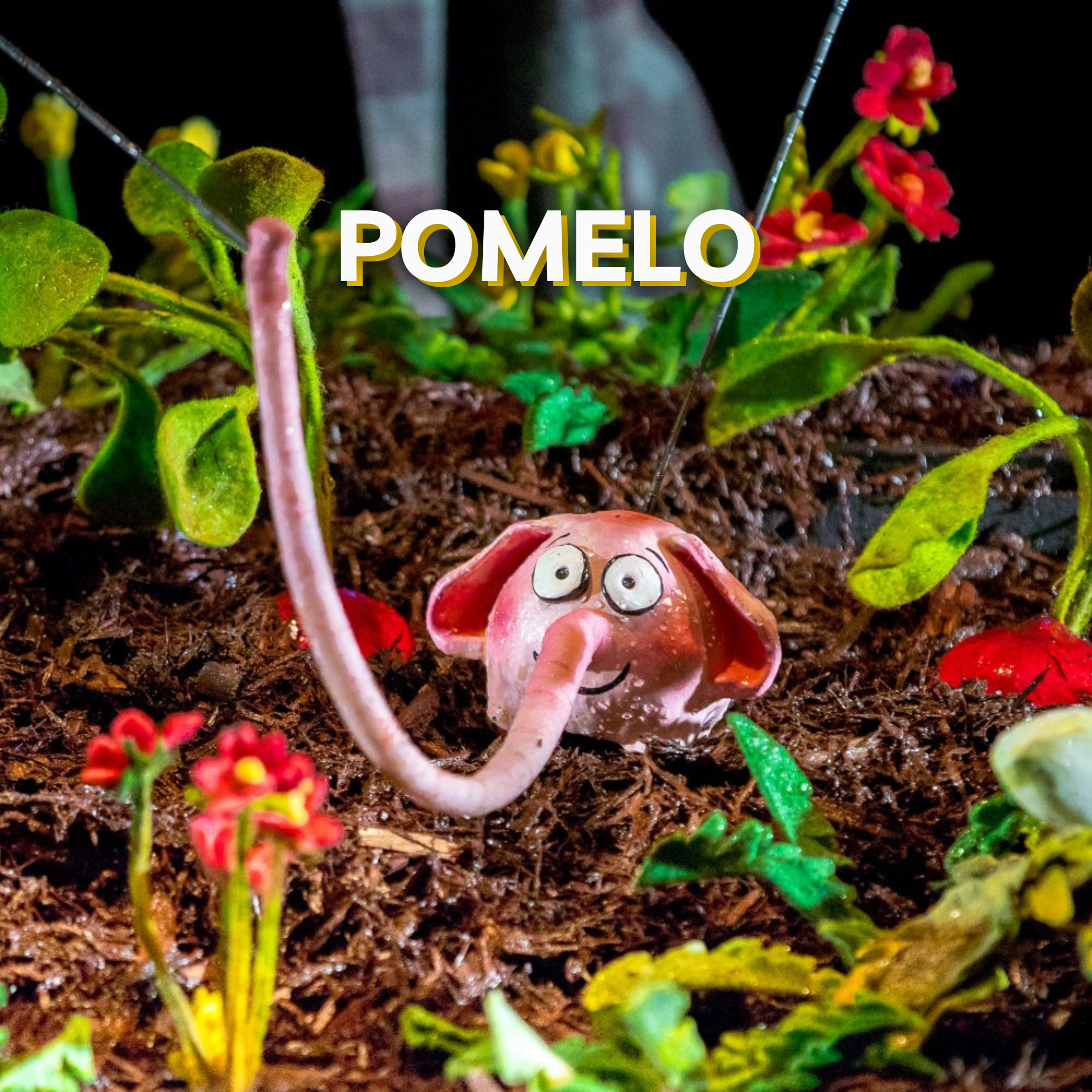 School Performance: Pomelo, Ombres Folles, Puppetry from Montreal 